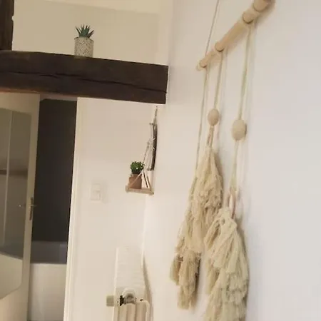 Proche Centre דירה *